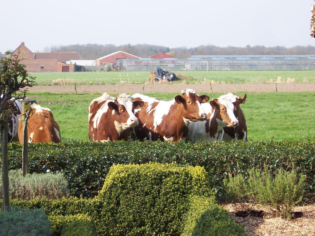 Casa vacanze Vakantielogies Boerke Naas *